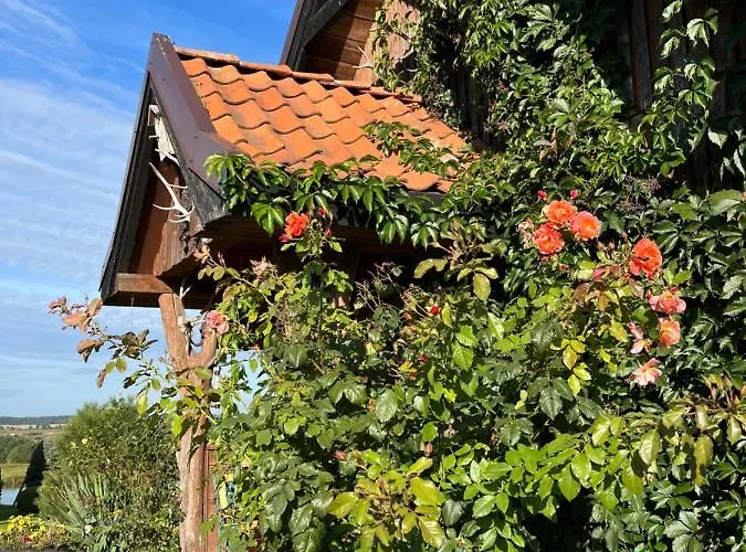 Farm stay Drewniany Dom Na Wzgorzu *